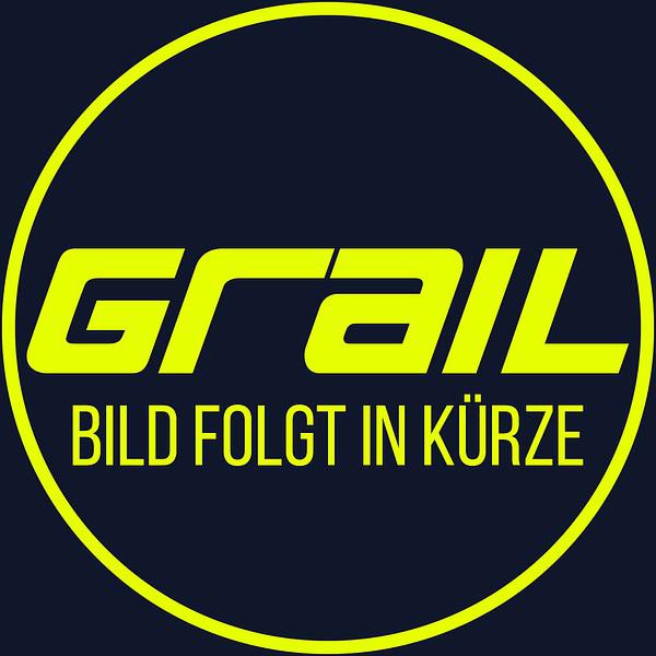 GRAIL Mid-Pipe | ohne Zulassung | passend für Lamborghini Aventador SVJ